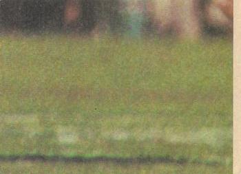 1979 Scanlens VFL #96 Ron Wearmouth Back